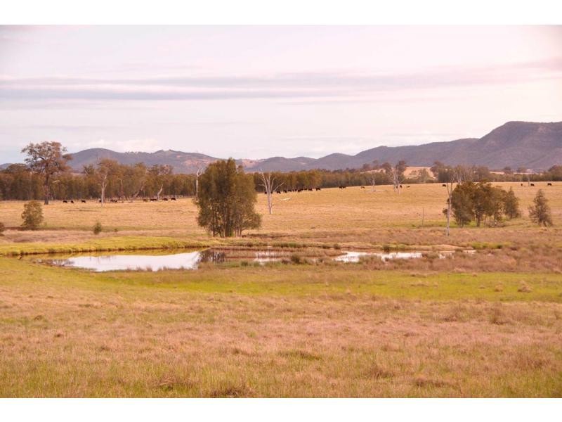 Lot 14 Old North Road, Pokolbin NSW 2320