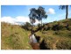 Lot 14 Old North Road, Pokolbin NSW 2320