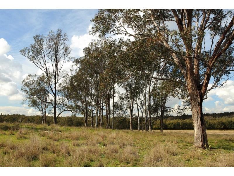 Lot 14 Old North Road, Pokolbin NSW 2320