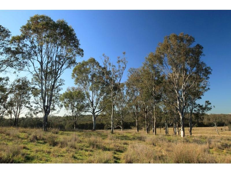 Lot 14 Old North Road, Pokolbin NSW 2320