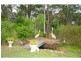 192 Ellalong Road, Ellalong NSW 2325