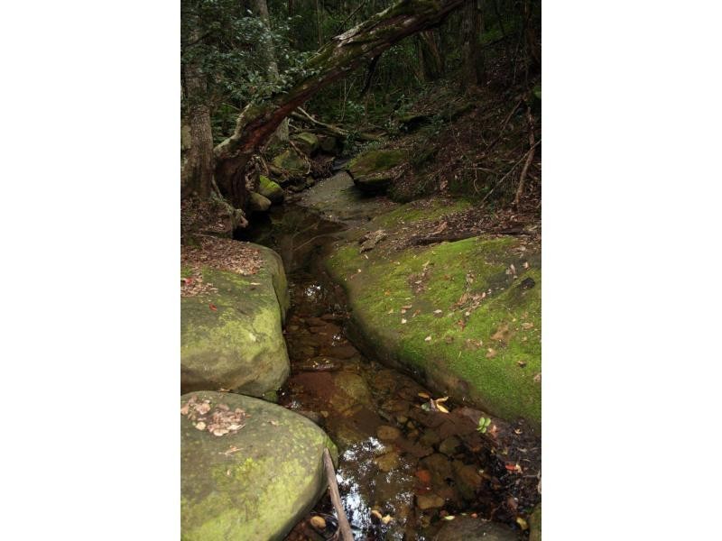 Lot 9, 56 & 98 Dry Creek Road, Ellalong NSW 2325