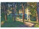 186 Truro Street, Ellalong NSW 2325