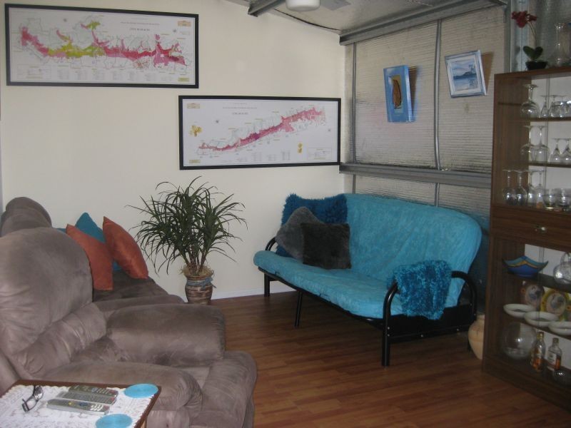 Lot 311 Blaxland Street, Broke NSW 2330