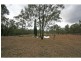 Lot 101 Milbrodale Road, Broke NSW 2330