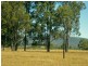 PL101 Debeyers Road, Pokolbin NSW 2320