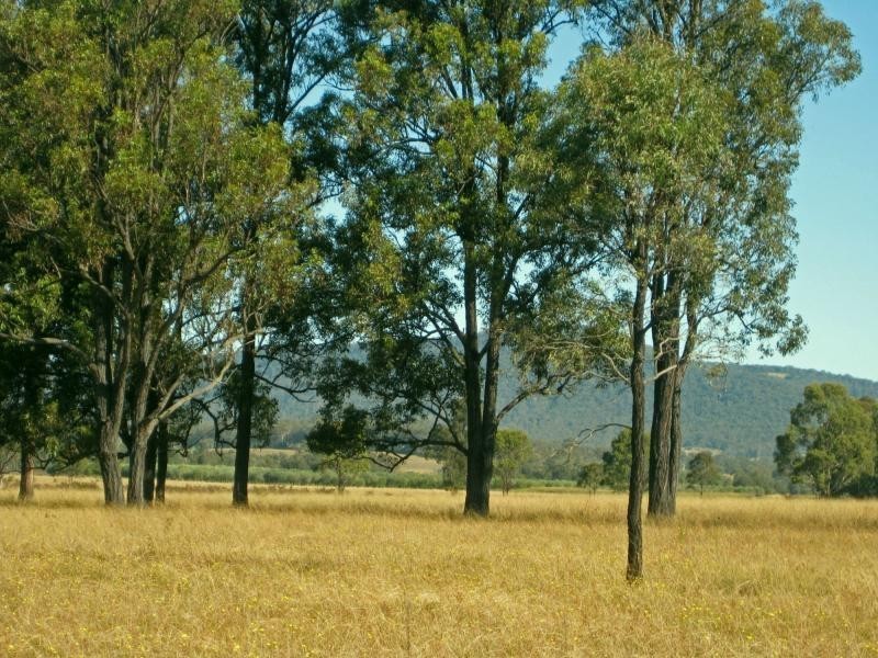 PL101 Debeyers Road, Pokolbin NSW 2320