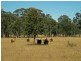 PL101 Debeyers Road, Pokolbin NSW 2320