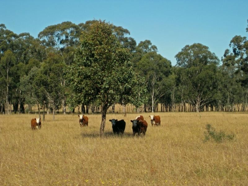 PL101 Debeyers Road, Pokolbin NSW 2320
