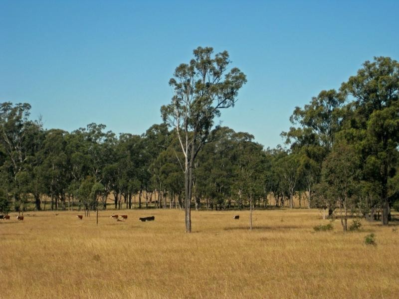 PL101 Debeyers Road, Pokolbin NSW 2320