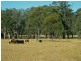 PL101 Debeyers Road, Pokolbin NSW 2320