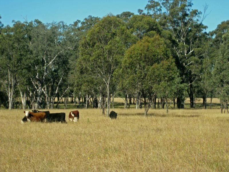 PL101 Debeyers Road, Pokolbin NSW 2320