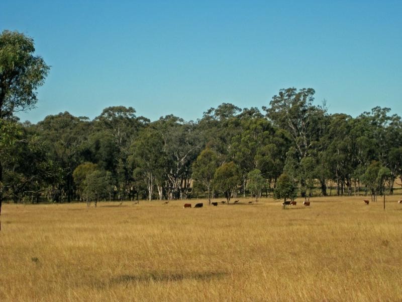 PL101 Debeyers Road, Pokolbin NSW 2320