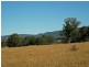 PL101 Debeyers Road, Pokolbin NSW 2320