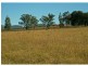 PL101 Debeyers Road, Pokolbin NSW 2320