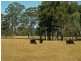 PL101 Debeyers Road, Pokolbin NSW 2320