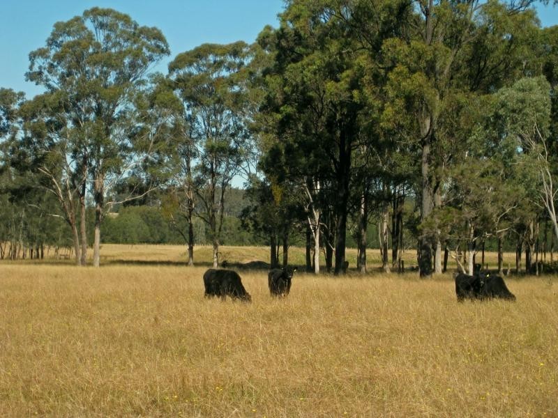PL101 Debeyers Road, Pokolbin NSW 2320