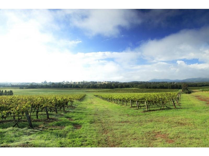 171 Deasys Road, Pokolbin NSW 2320