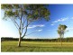 171 Deasys Road, Pokolbin NSW 2320