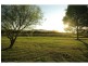 171 Deasys Road, Pokolbin NSW 2320