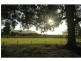 171 Deasys Road, Pokolbin NSW 2320