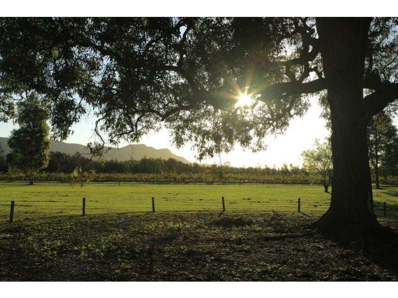 171 Deasys Road, Pokolbin NSW 2320