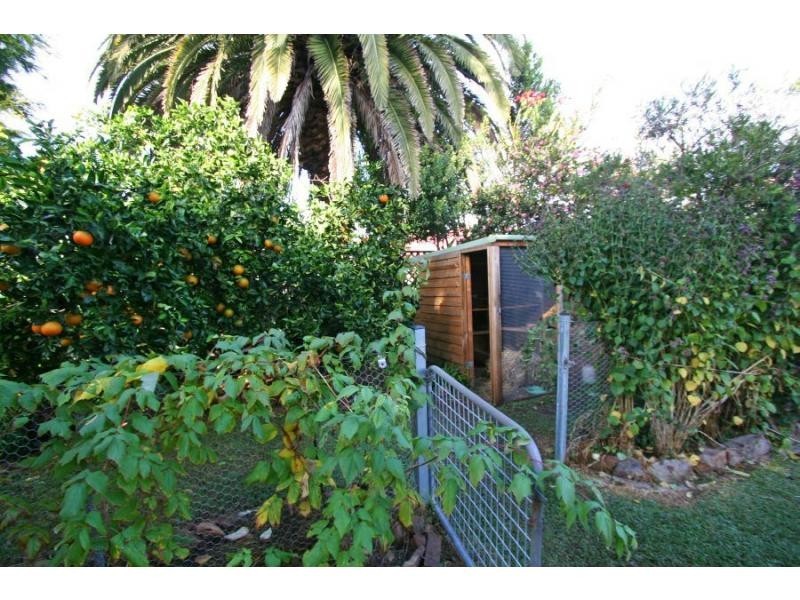 30 McGrane Street, Cessnock NSW 2325