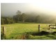 Lot 15 Wollombi Road, Cedar Creek NSW 2325