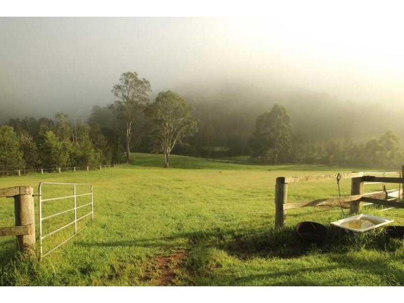 Lot 15 Wollombi Road, Cedar Creek NSW 2325
