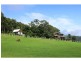 Lot 15 Wollombi Road, Cedar Creek NSW 2325