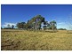 1276 Talga Road, Rothbury NSW 2320