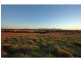 1276 Talga Road, Rothbury NSW 2320