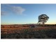 1276 Talga Road, Rothbury NSW 2320