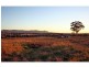 1276 Talga Road, Rothbury NSW 2320