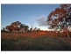 1276 Talga Road, Rothbury NSW 2320