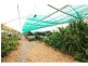 245 Congewai Road, Congewai NSW 2325