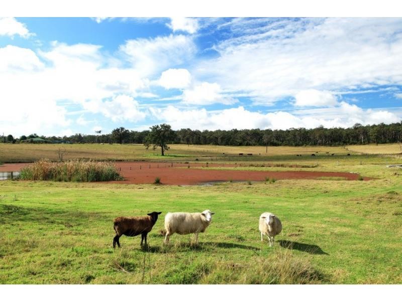 245 Congewai Road, Congewai NSW 2325