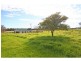 85 & 99 Lovedale Road, Lovedale NSW 2325