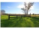 85 & 99 Lovedale Road, Lovedale NSW 2325