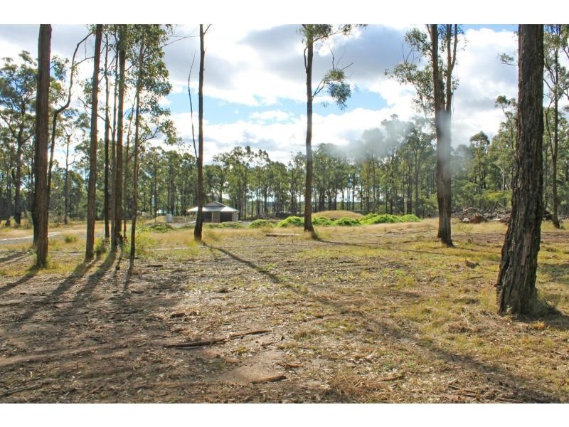 Lot 1 Lodge Road, Lovedale NSW 2325