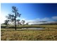 Lot 113 Fotheringay Road, Clarence Town NSW 2321