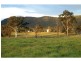 Lot 113 Fotheringay Road, Clarence Town NSW 2321