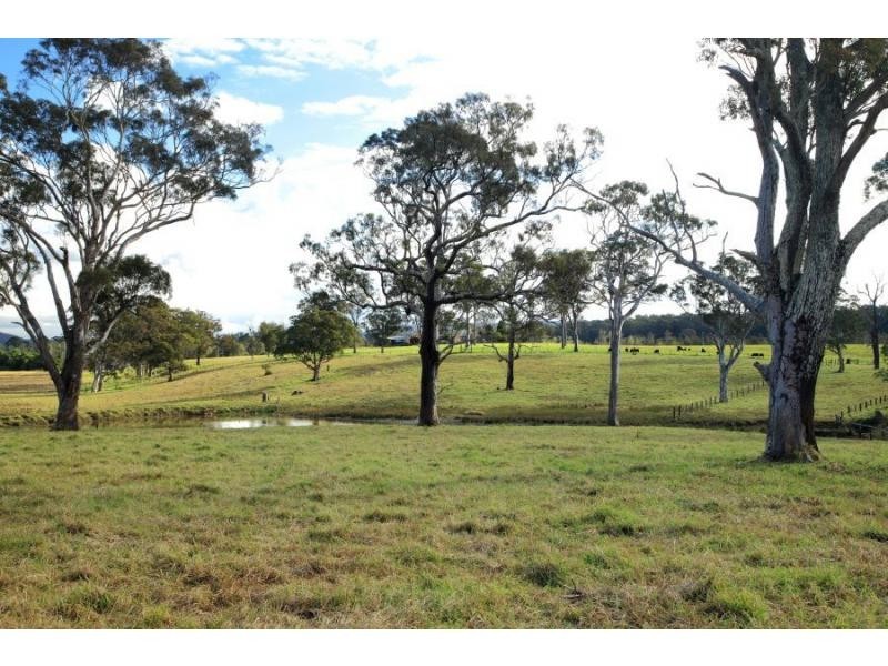 Lot 113 Fotheringay Road, Clarence Town NSW 2321