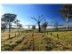 Lot 113 Fotheringay Road, Clarence Town NSW 2321
