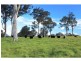 Lot 113 Fotheringay Road, Clarence Town NSW 2321