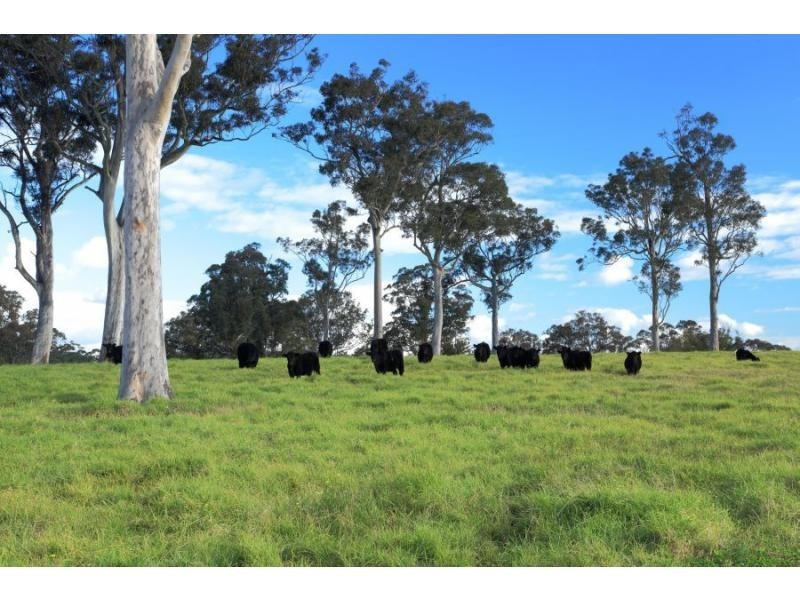 Lot 113 Fotheringay Road, Clarence Town NSW 2321