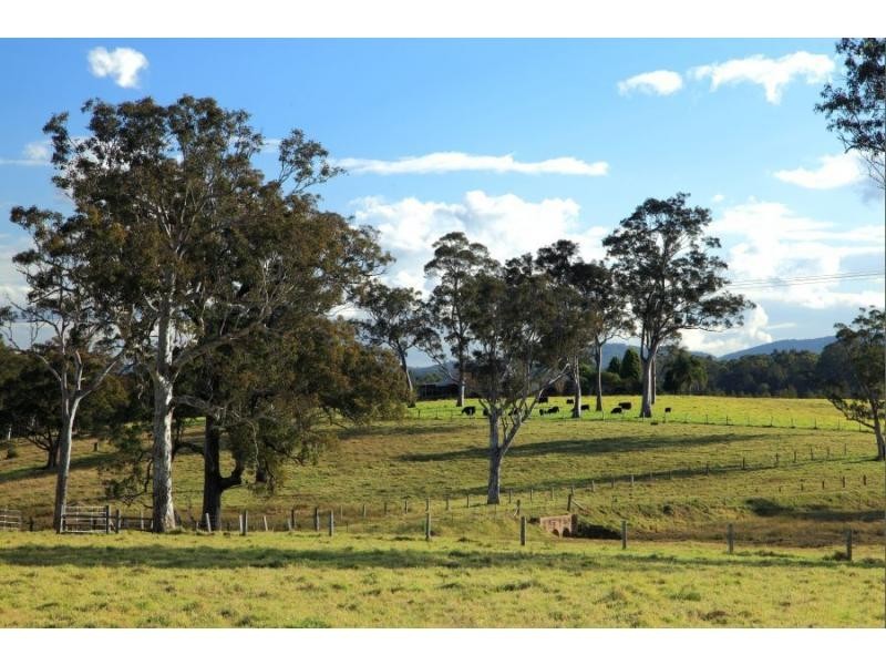 Lot 113 Fotheringay Road, Clarence Town NSW 2321