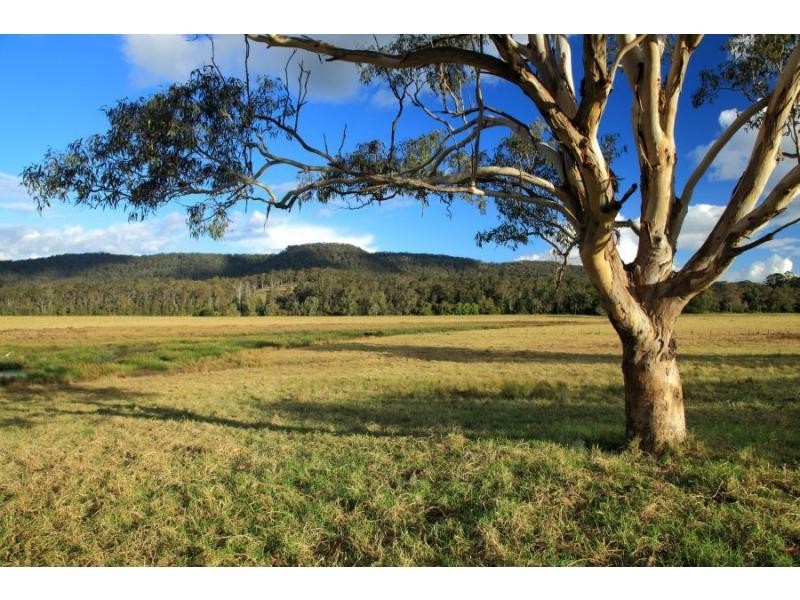 Lot 113 Fotheringay Road, Clarence Town NSW 2321