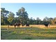 93 Lodge Road, Lovedale NSW 2325