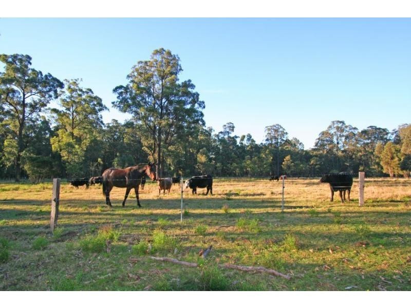 93 Lodge Road, Lovedale NSW 2325